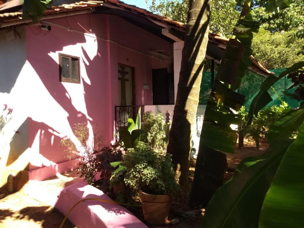 Agonda pink house Apartment Canacona Luaran gambar